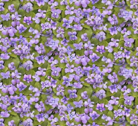 678-Violet