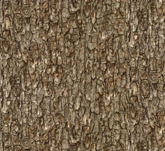 709-Walnut
