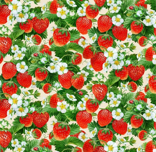 730-Cream