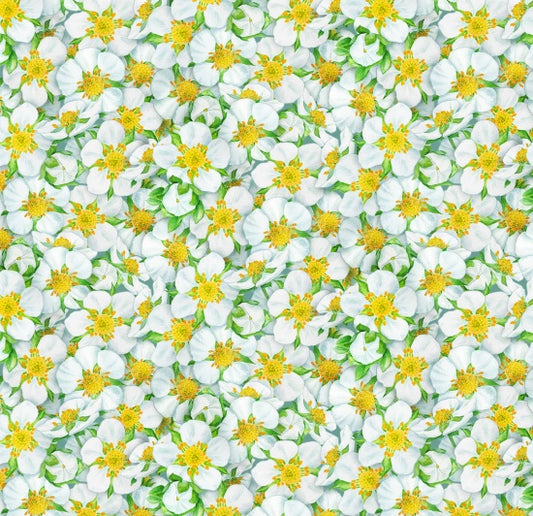 731-White