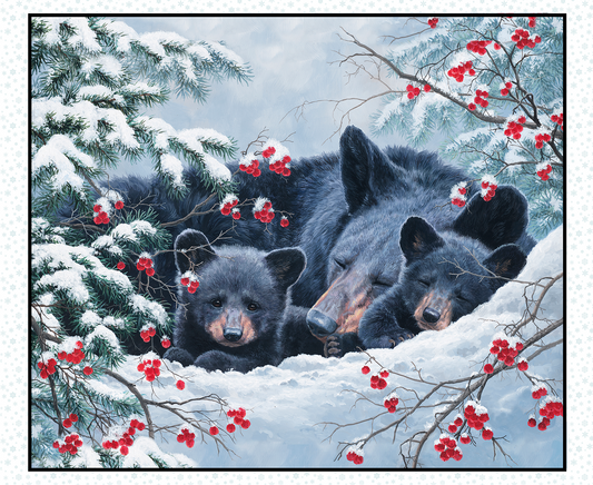 9618-Snow