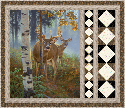 Dutch Tiles: Curiosity