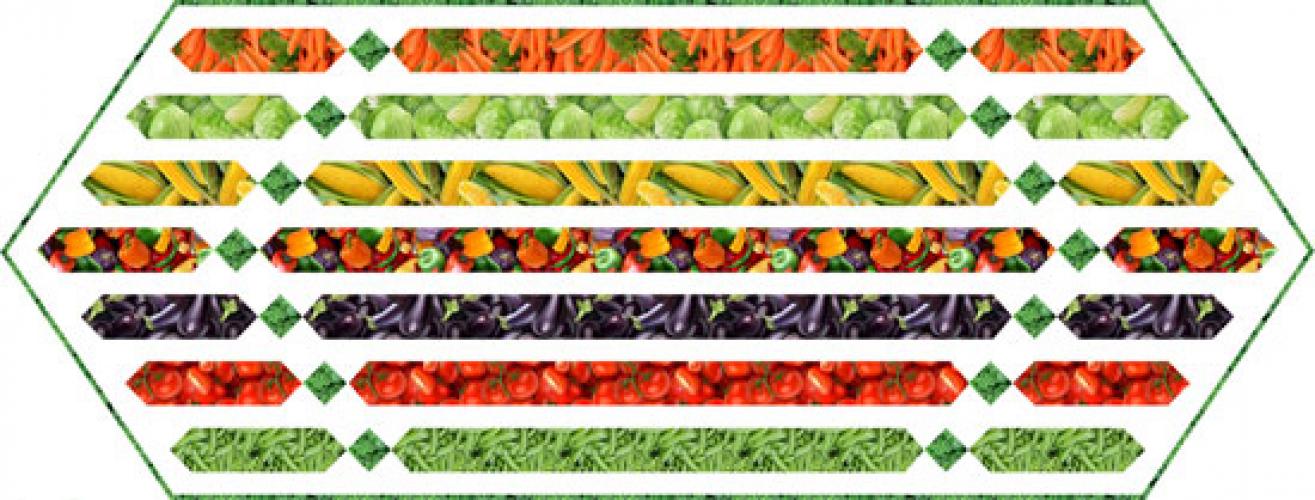 Farm Fresh Runner - Veggies by Pine Tree Country Quilts