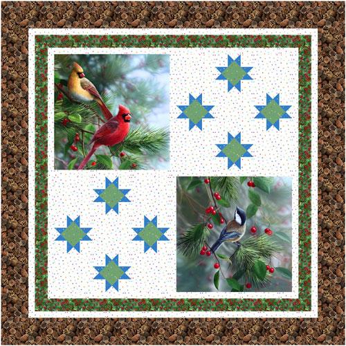 Field of Stars by Spool and Bobbin Quilting