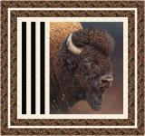 Aurora: Bull's Eye by Spool and Bobbing Quilting