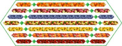 Farm Fresh Runner - Fruits by Pine Tree Country Quilts